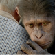 Illustration for article titled emRise of the Planet of the Apes/em might be the most realistic ape revolution movie ever